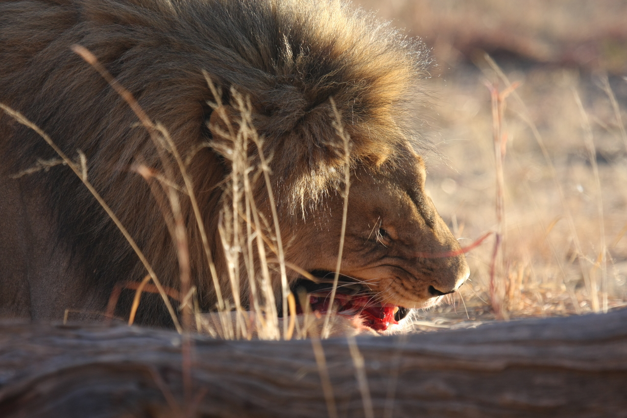 [7390] 2016_06_23_11_40_14_Africa_Canon_EOS_40D_IMG__00675.jpg