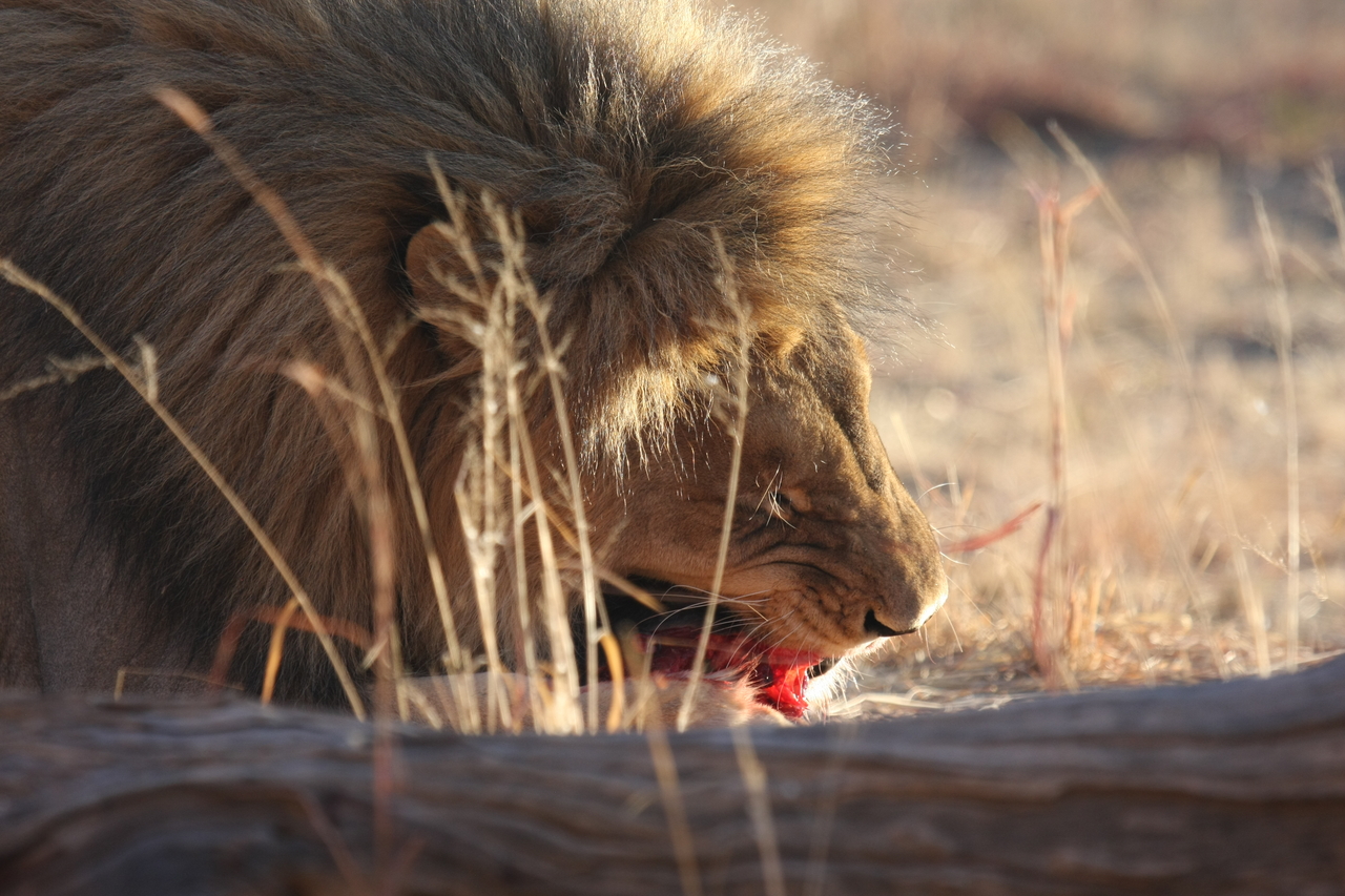 [7393] 2016_06_23_11_40_14_Africa_Canon_EOS_40D_IMG__08955.jpg