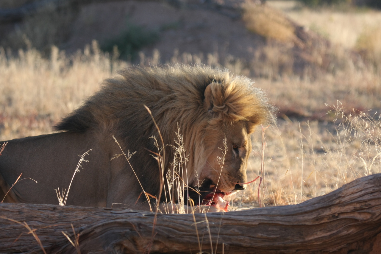 [7437] 2016_06_23_11_40_42_Africa_Canon_EOS_40D_IMG__01522.jpg