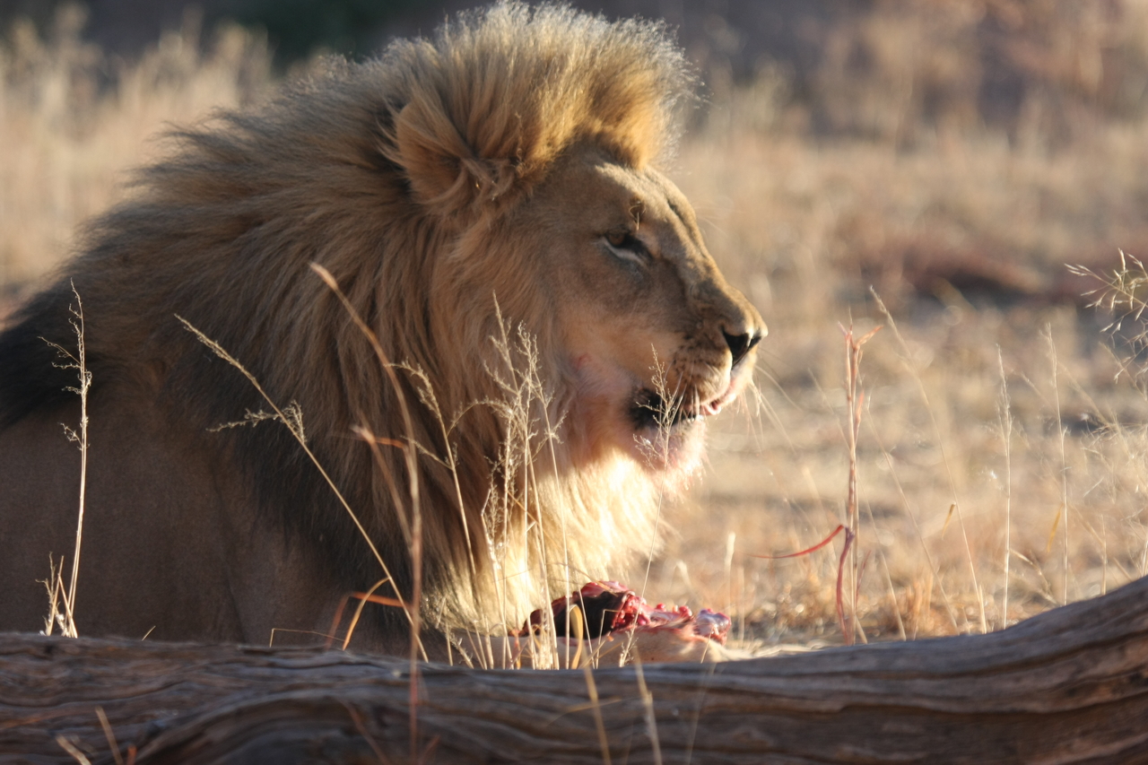 [7450] 2016_06_23_11_40_47_Africa_Canon_EOS_40D_IMG__01527.jpg