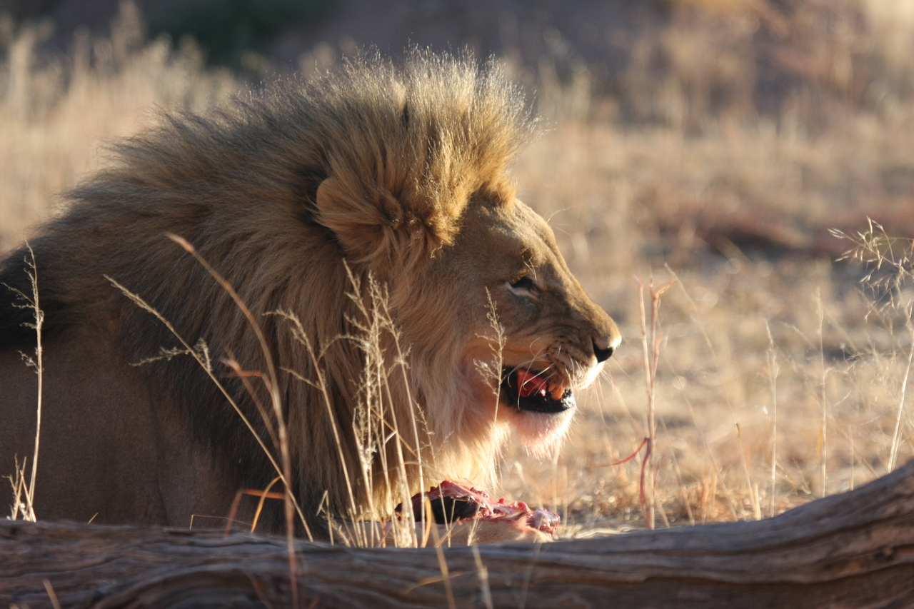 [7460] 2016_06_23_11_40_49_Africa_Canon_EOS_40D_IMG__08976.jpg