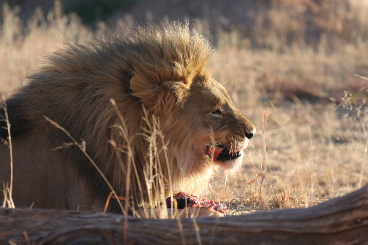 [7461] 2016_06_23_11_40_49_Africa_Canon_EOS_40D_IMG__08977.jpg