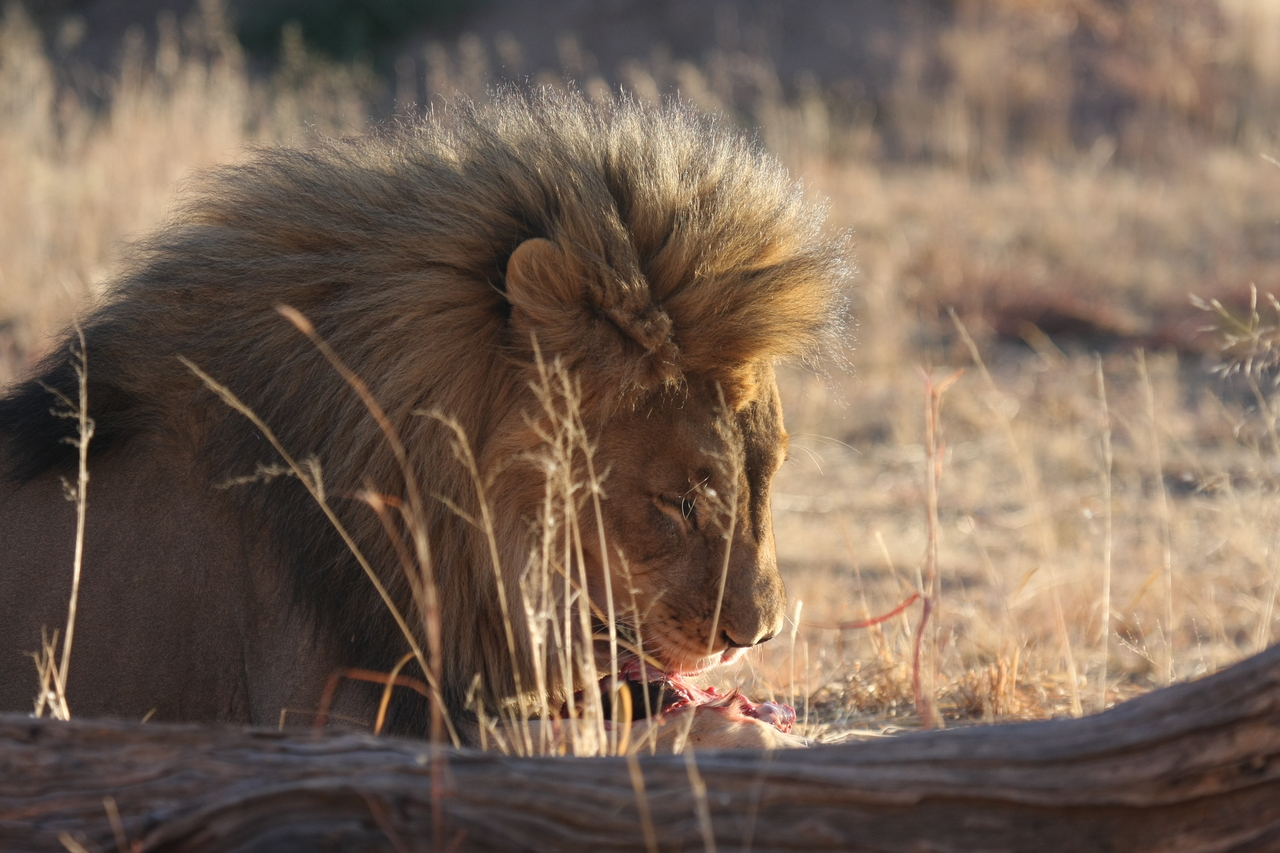 [7473] 2016_06_23_11_40_51_Africa_Canon_EOS_40D_IMG__08981.jpg