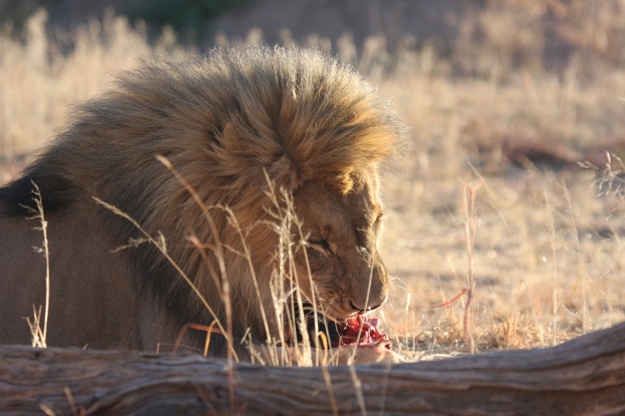 [7477] 2016_06_23_11_40_57_Africa_Canon_EOS_40D_IMG__00702.jpg