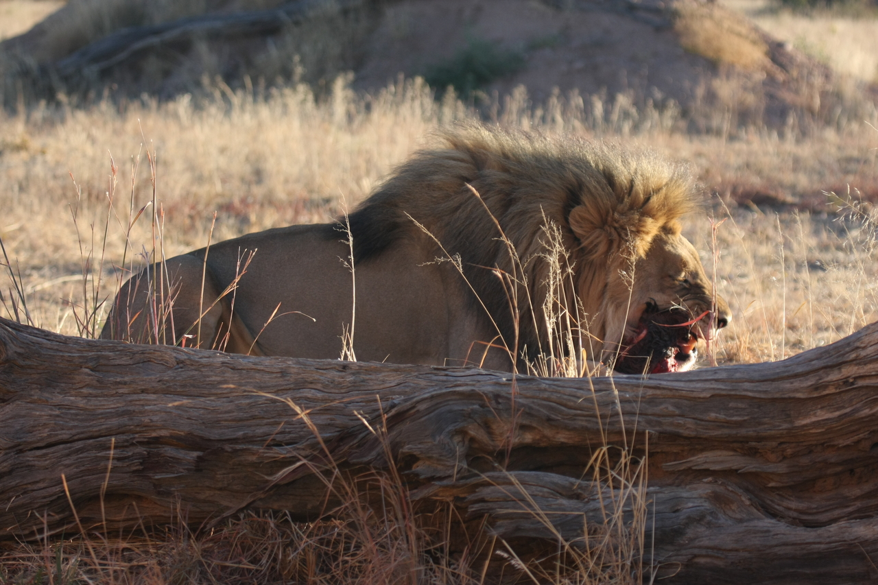 [7549] 2016_06_23_11_41_58_Africa_Canon_EOS_40D_IMG__00724.jpg