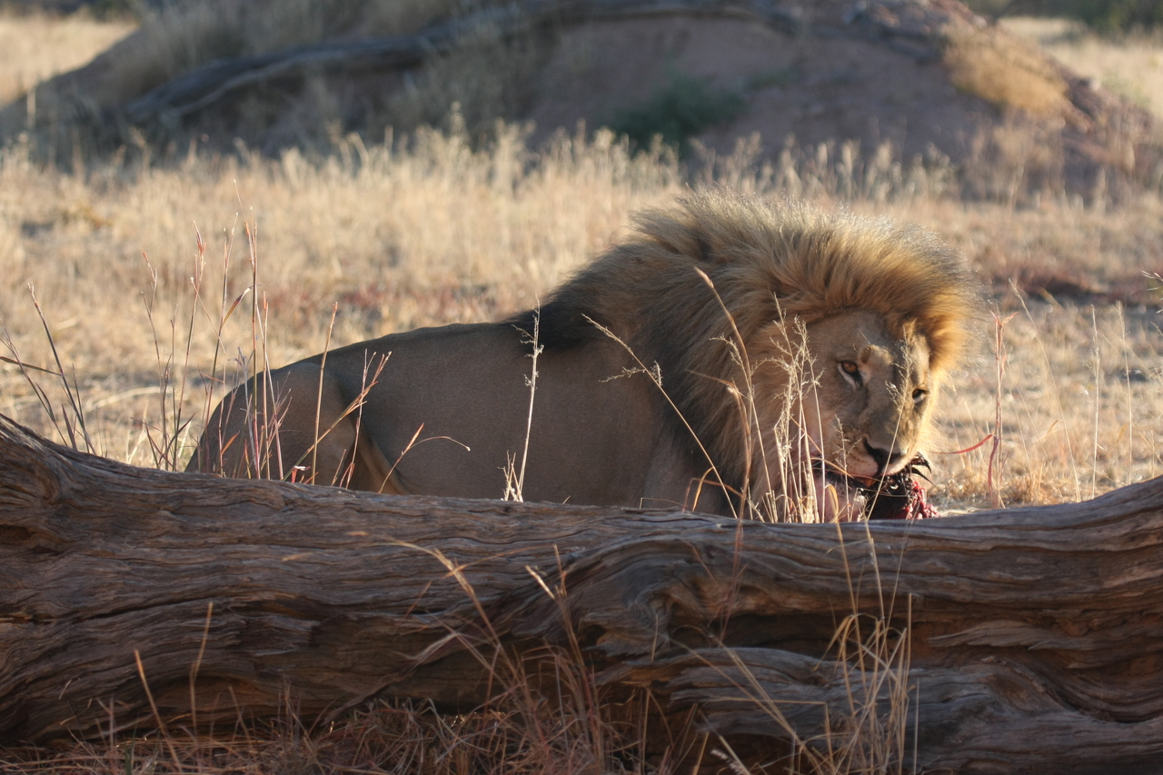 [7561] 2016_06_23_11_42_04_Africa_Canon_EOS_40D_IMG__09007.jpg