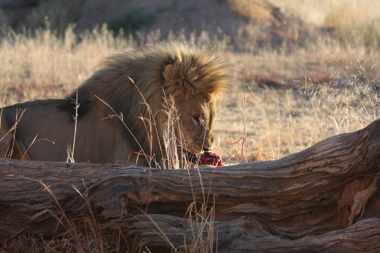 [7572] 2016_06_23_11_42_39_Africa_Canon_EOS_40D_IMG__00731.jpg