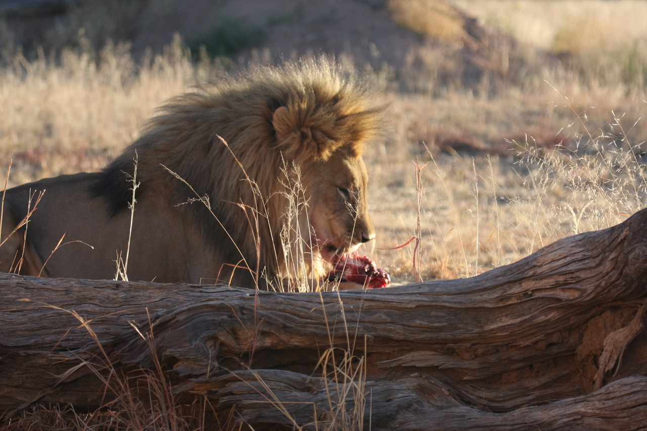 [7585] 2016_06_23_11_42_46_Africa_Canon_EOS_40D_IMG__09015.jpg