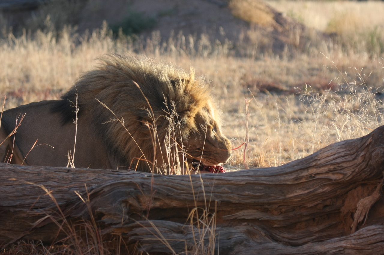 [7591] 2016_06_23_11_42_50_Africa_Canon_EOS_40D_IMG__01571.jpg