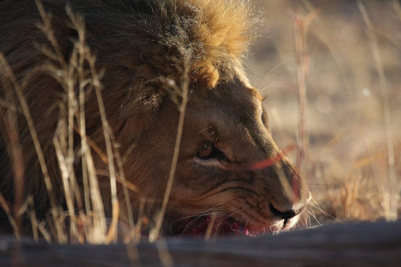 [7611] 2016_06_23_11_43_14_Africa_Canon_EOS_40D_IMG__00744.jpg