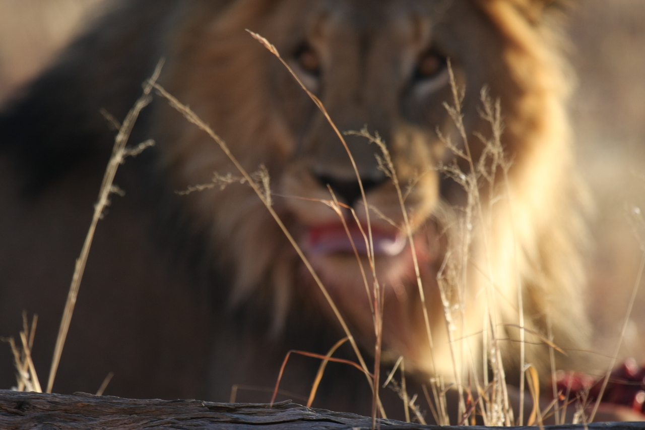 [7670] 2016_06_23_11_43_33_Africa_Canon_EOS_40D_IMG__09363.jpg