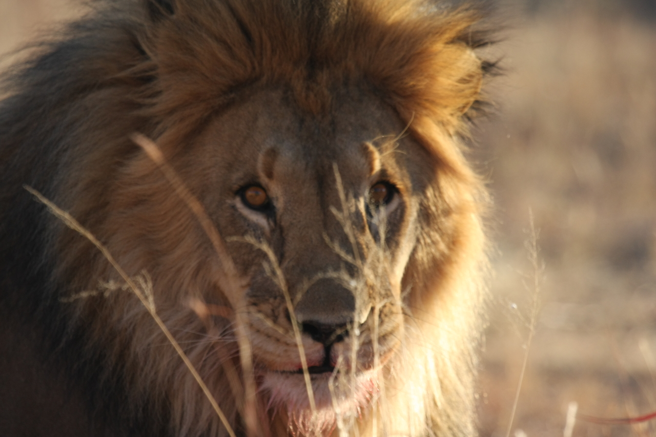 [7676] 2016_06_23_11_43_34_Africa_Canon_EOS_40D_IMG__09068.jpg