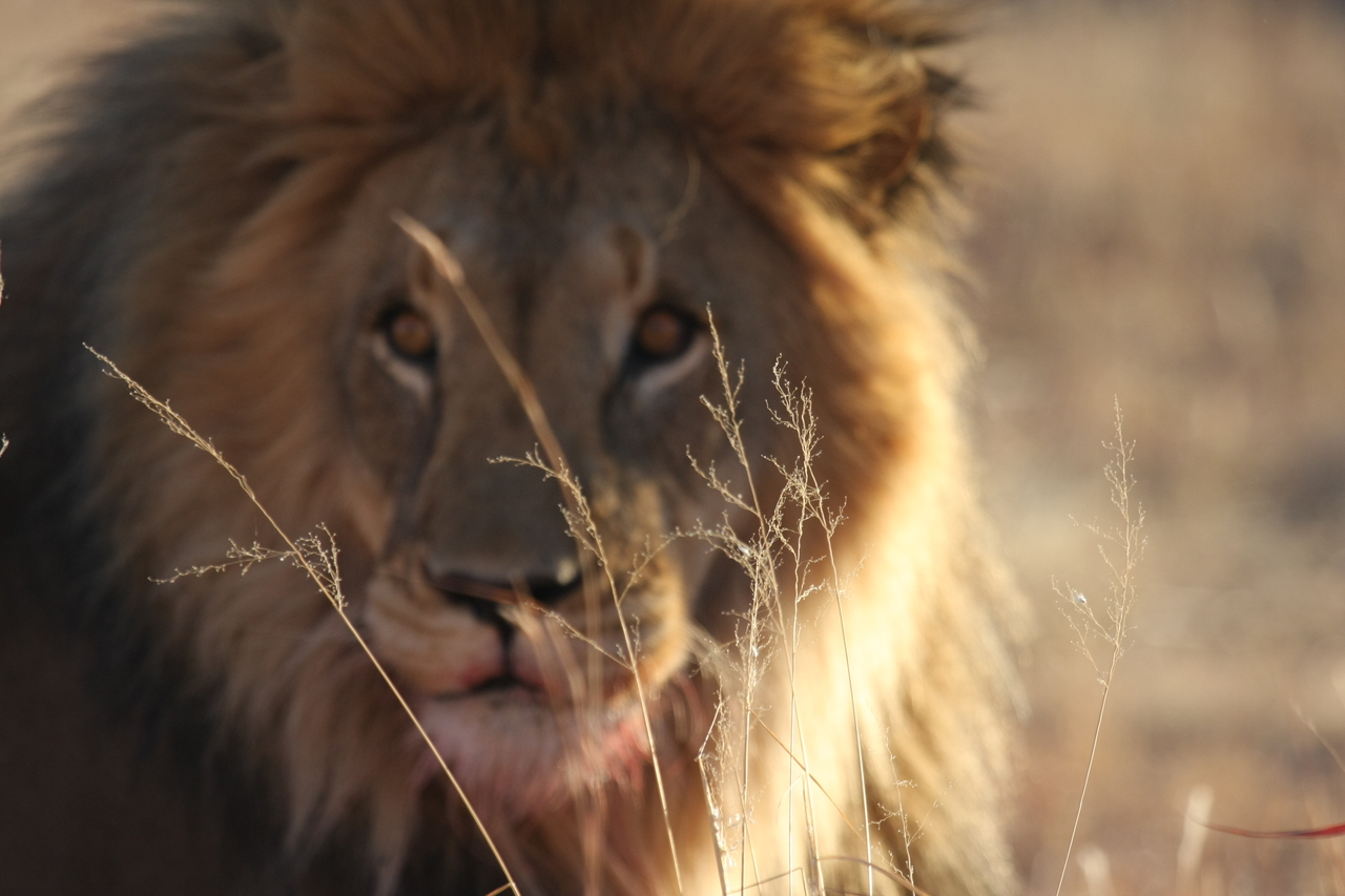 [7683] 2016_06_23_11_43_35_Africa_Canon_EOS_40D_IMG__01643.jpg