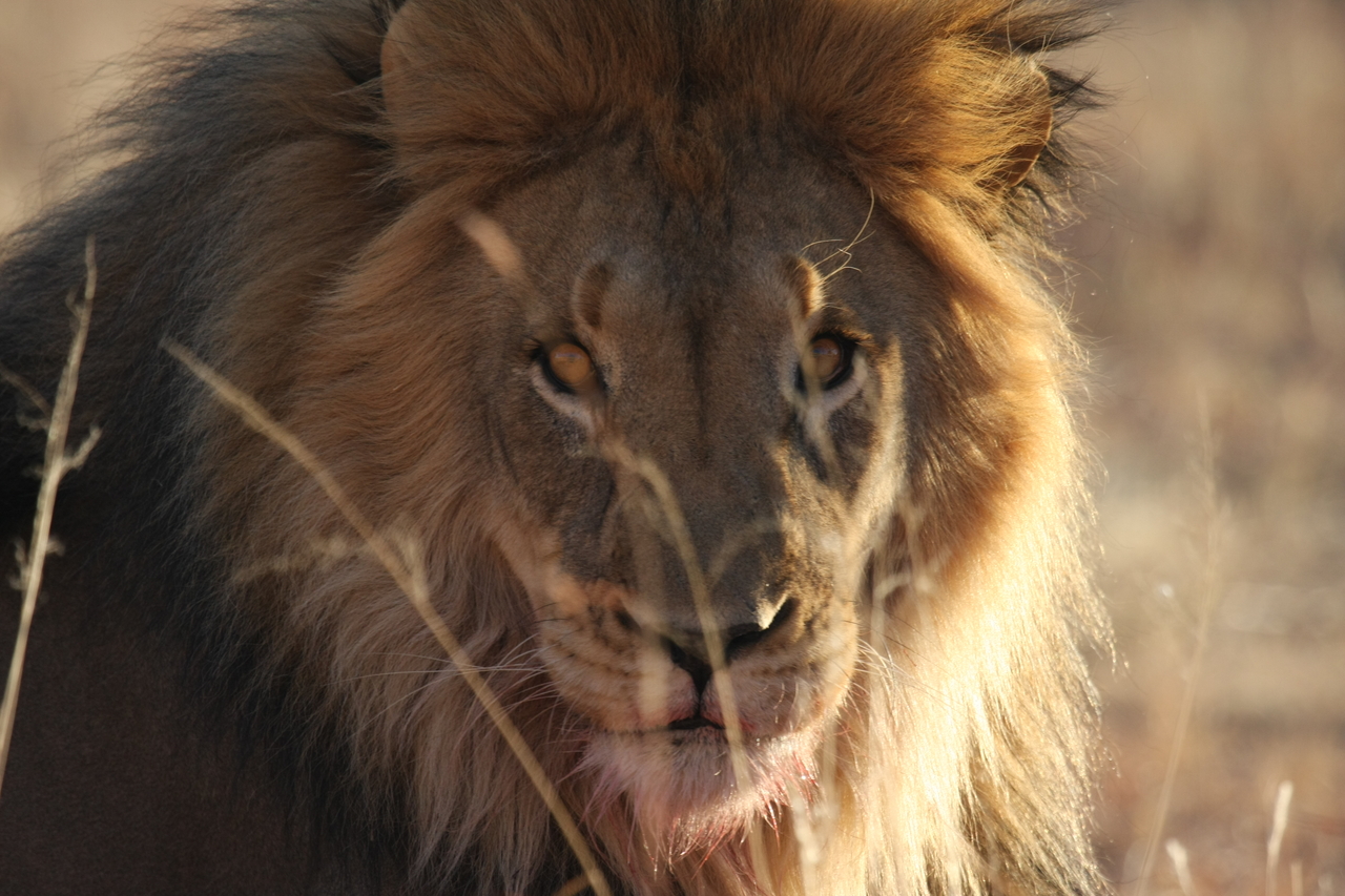 [7684] 2016_06_23_11_43_35_Africa_Canon_EOS_40D_IMG__01654.jpg