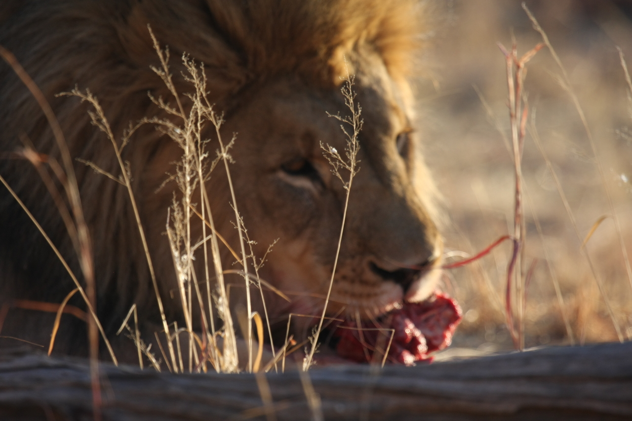 [7695] 2016_06_23_11_43_54_Africa_Canon_EOS_40D_IMG__01687.jpg