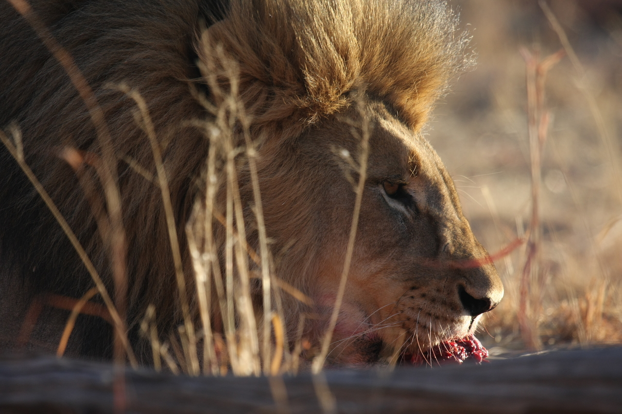 [7710] 2016_06_23_11_43_59_Africa_Canon_EOS_40D_IMG__09179.jpg