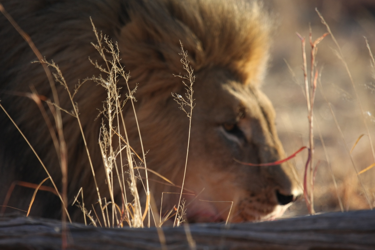 [7716] 2016_06_23_11_44_01_Africa_Canon_EOS_40D_IMG__01765.jpg