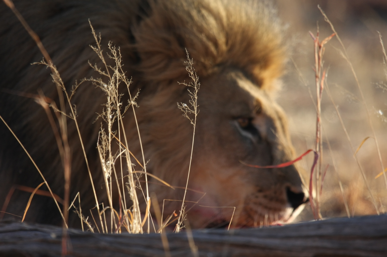 [7717] 2016_06_23_11_44_01_Africa_Canon_EOS_40D_IMG__01776.jpg