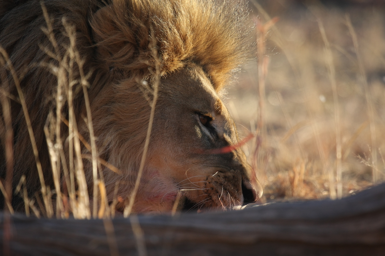 [7721] 2016_06_23_11_44_03_Africa_Canon_EOS_40D_IMG__00953.jpg