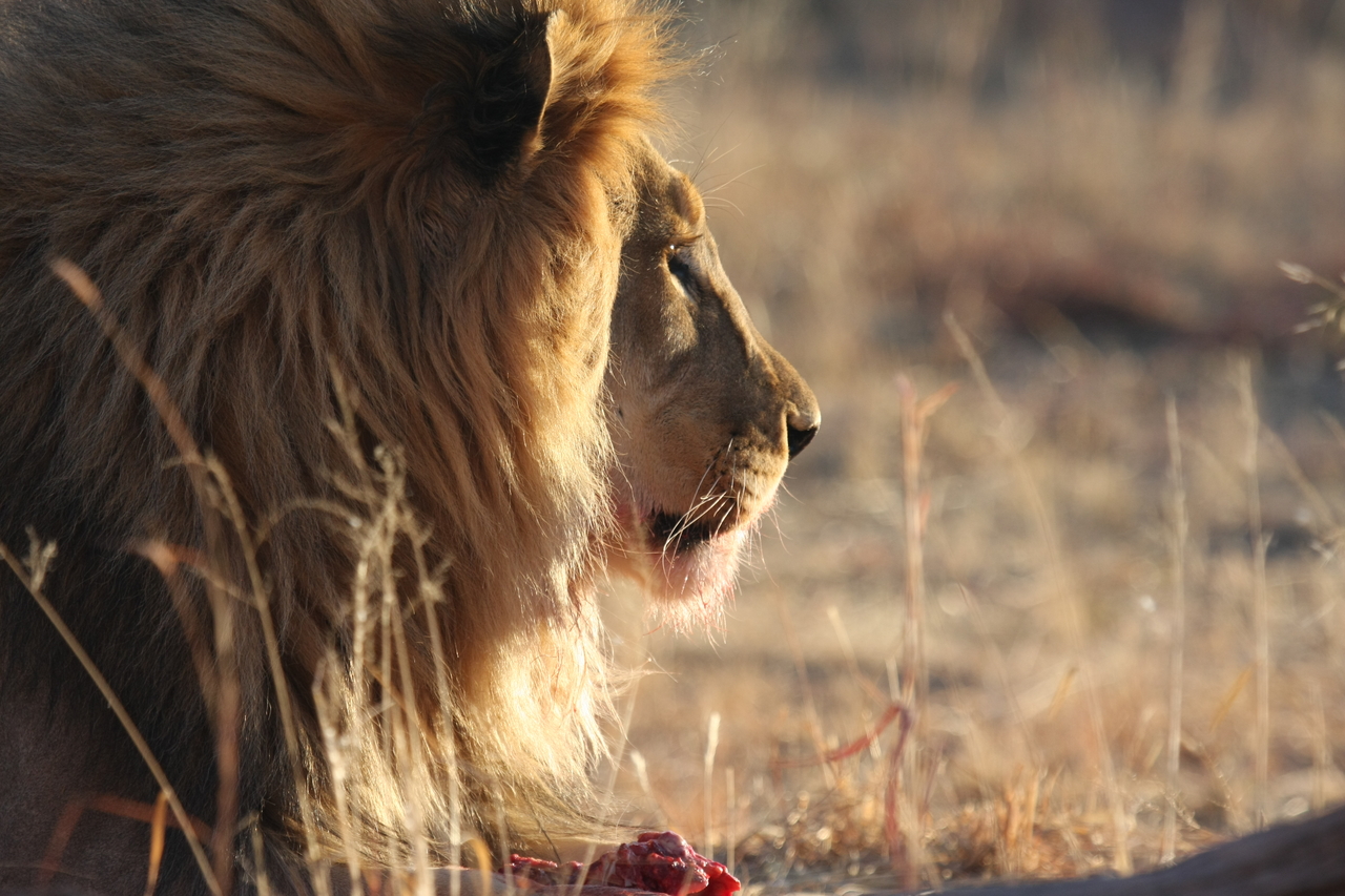 [7759] 2016_06_23_11_45_09_Africa_Canon_EOS_40D_IMG__09309.jpg