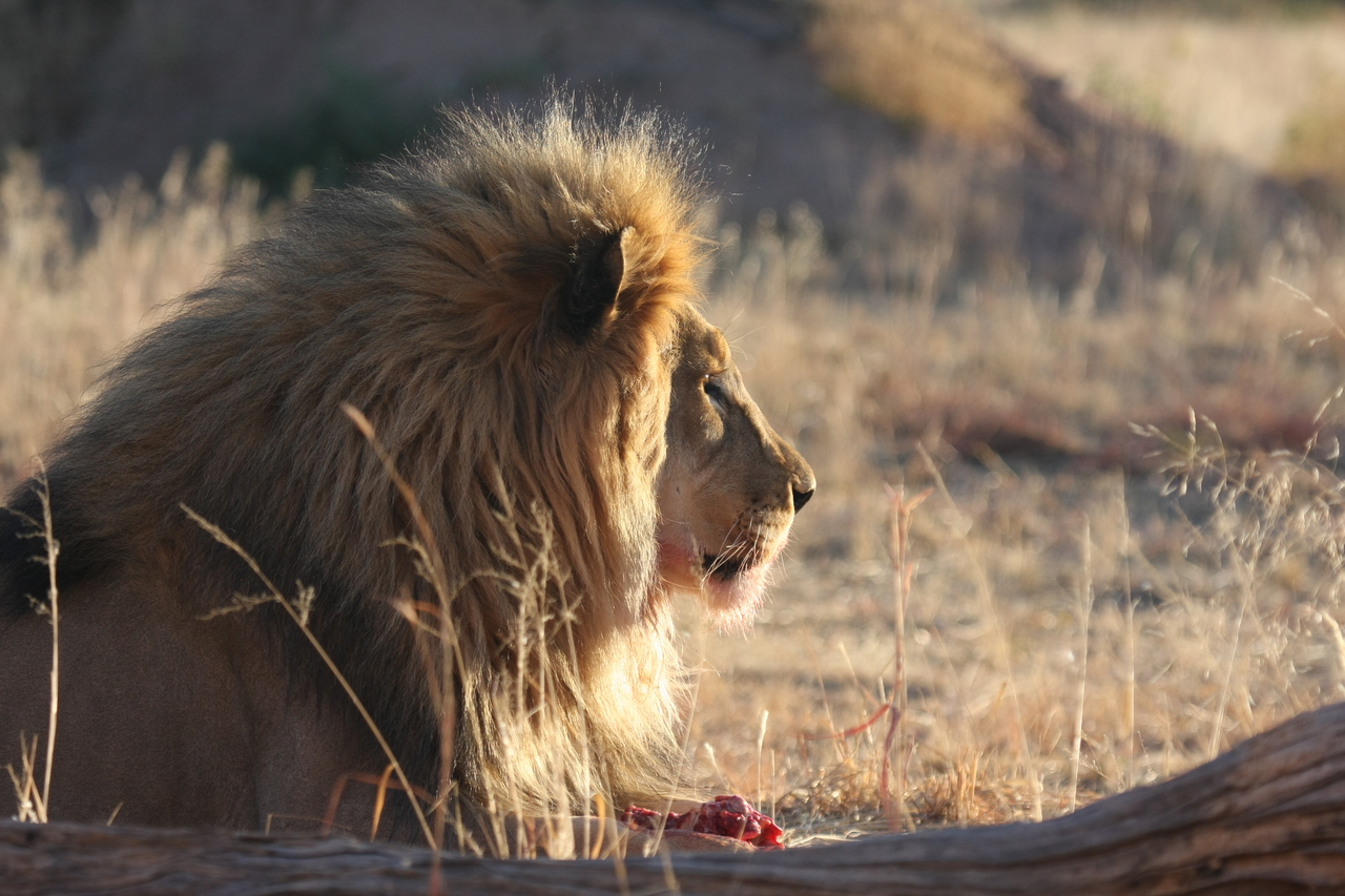 [7770] 2016_06_23_11_45_15_Africa_Canon_EOS_40D_IMG__01033.jpg