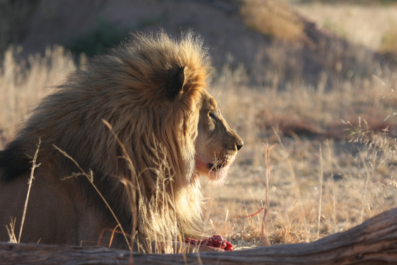 [7779] 2016_06_23_11_45_16_Africa_Canon_EOS_40D_IMG__01869.jpg