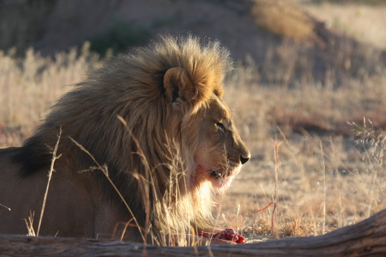 [7782] 2016_06_23_11_45_17_Africa_Canon_EOS_40D_IMG__01870.jpg