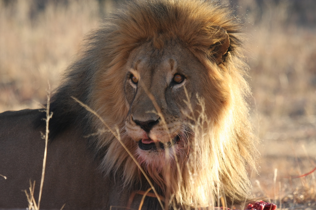 [7835] 2016_06_23_11_46_22_Africa_Canon_EOS_40D_IMG__01885.jpg