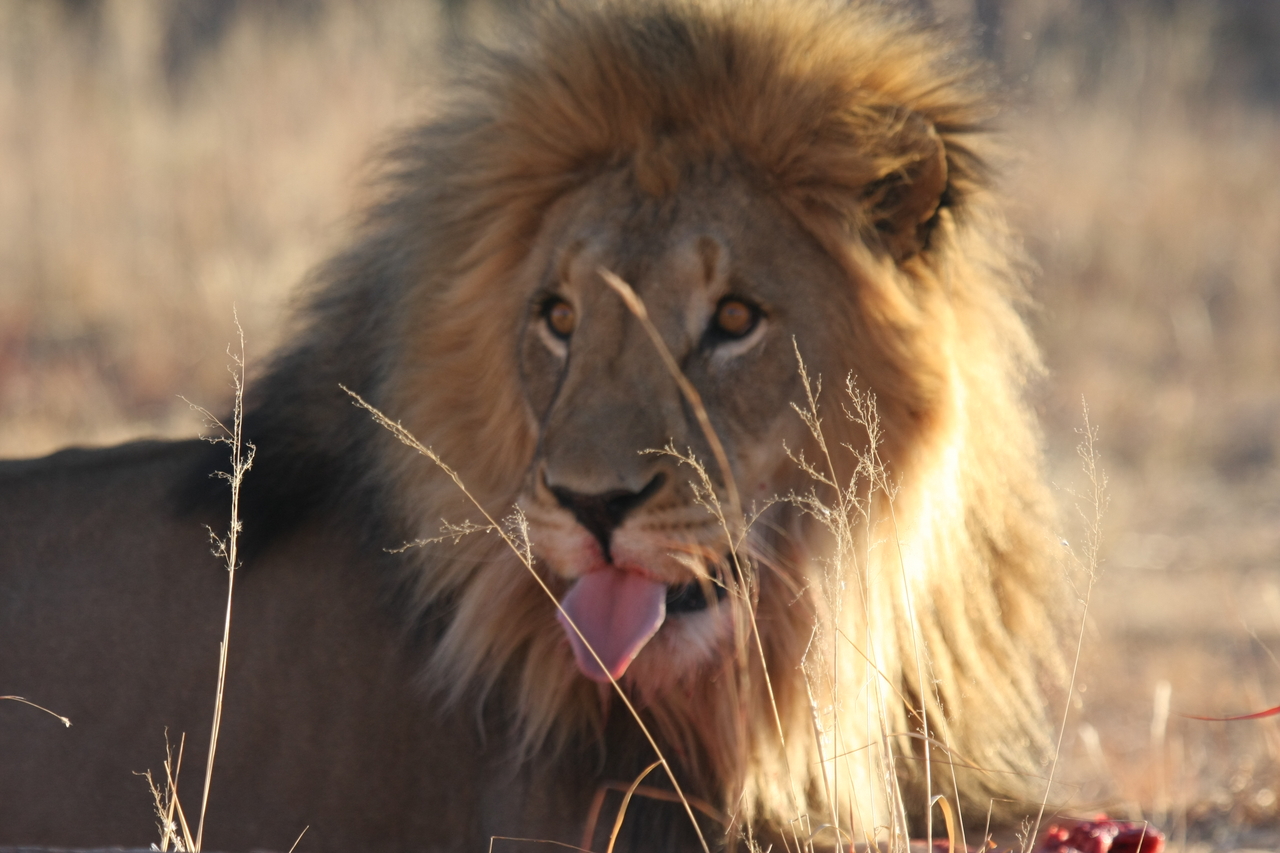 [7836] 2016_06_23_11_46_22_Africa_Canon_EOS_40D_IMG__01886.jpg