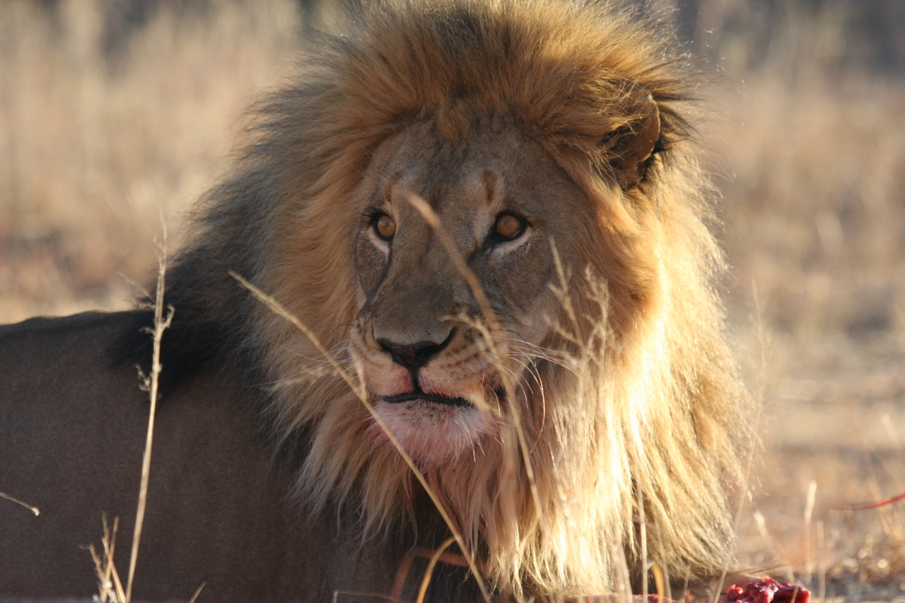 [7837] 2016_06_23_11_46_22_Africa_Canon_EOS_40D_IMG__01887.jpg