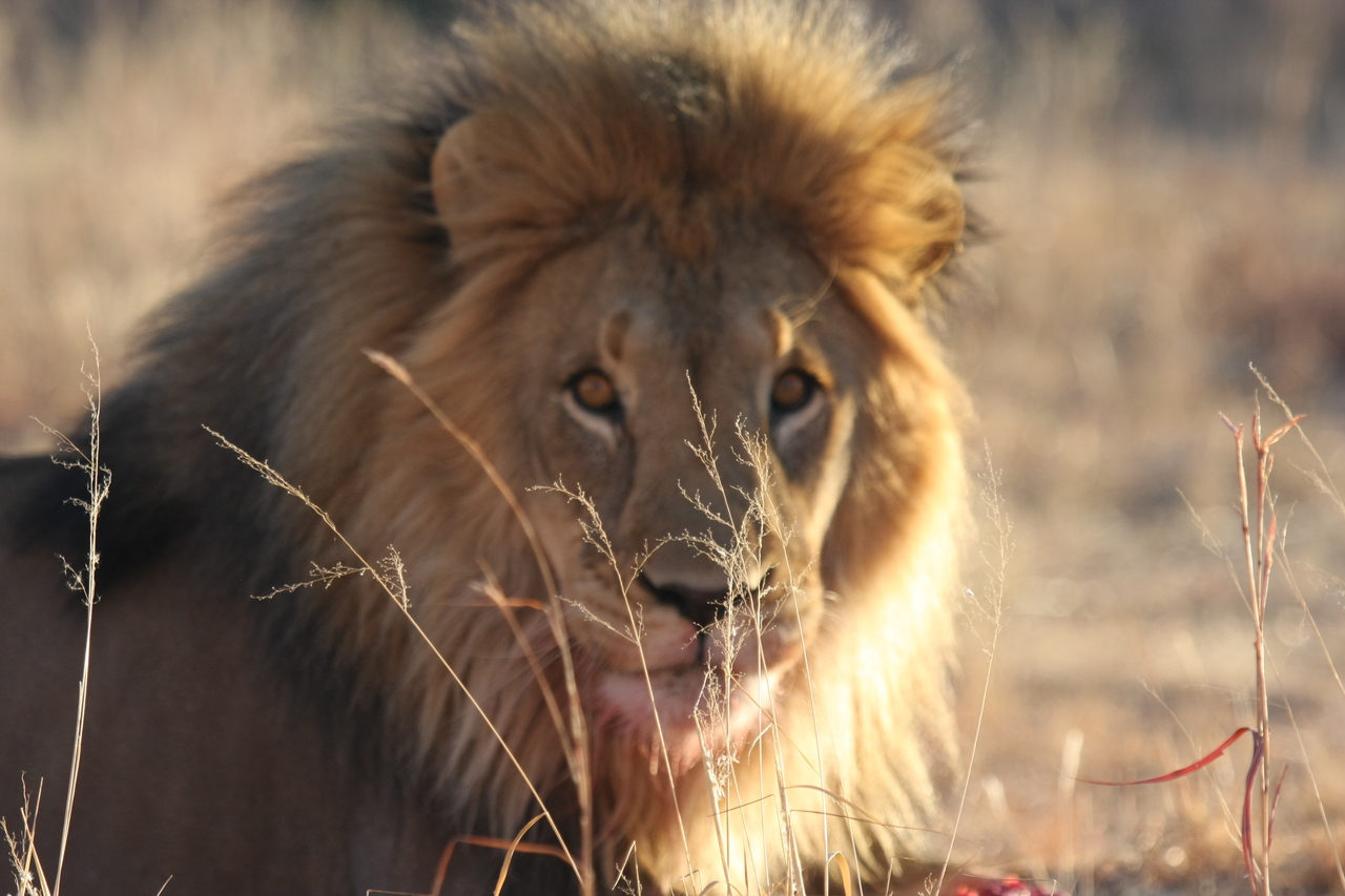 [7859] 2016_06_23_11_46_25_Africa_Canon_EOS_40D_IMG__01891.jpg