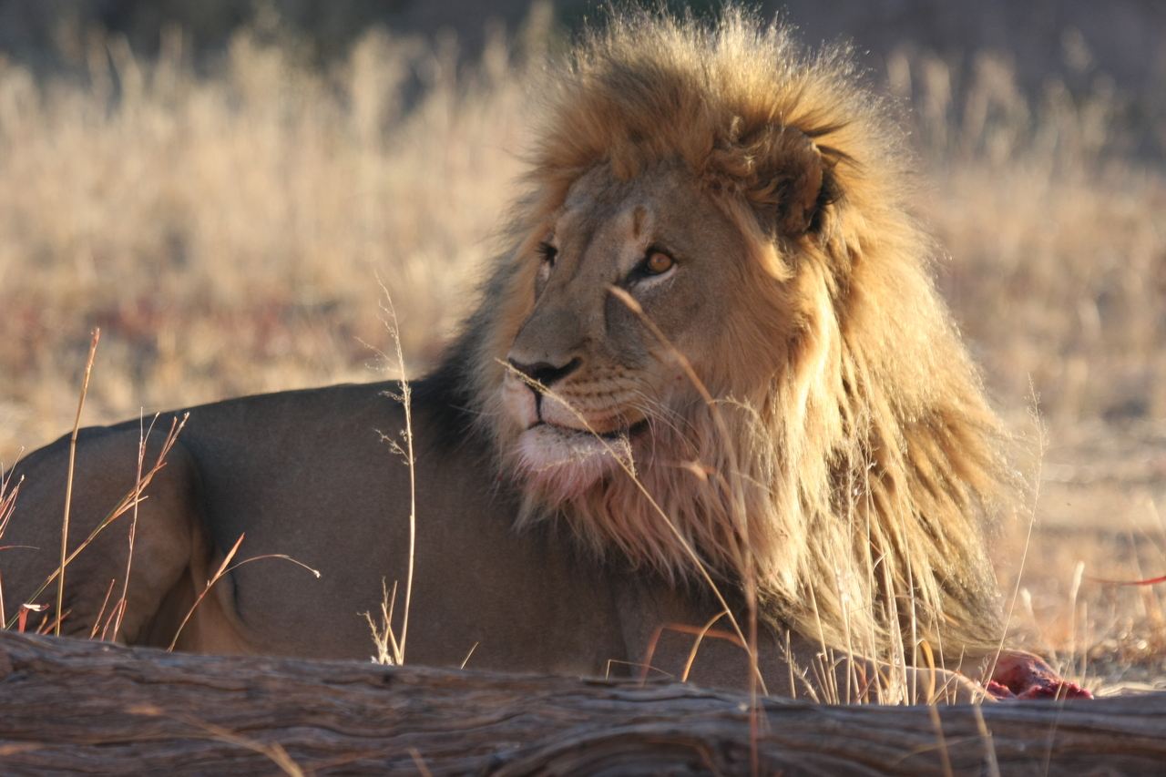 [7875] 2016_06_23_11_47_20_Africa_Canon_EOS_40D_IMG__01898.jpg