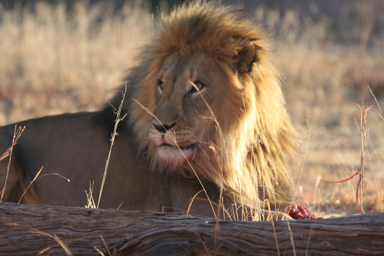 [7876] 2016_06_23_11_47_20_Africa_Canon_EOS_40D_IMG__09343.jpg