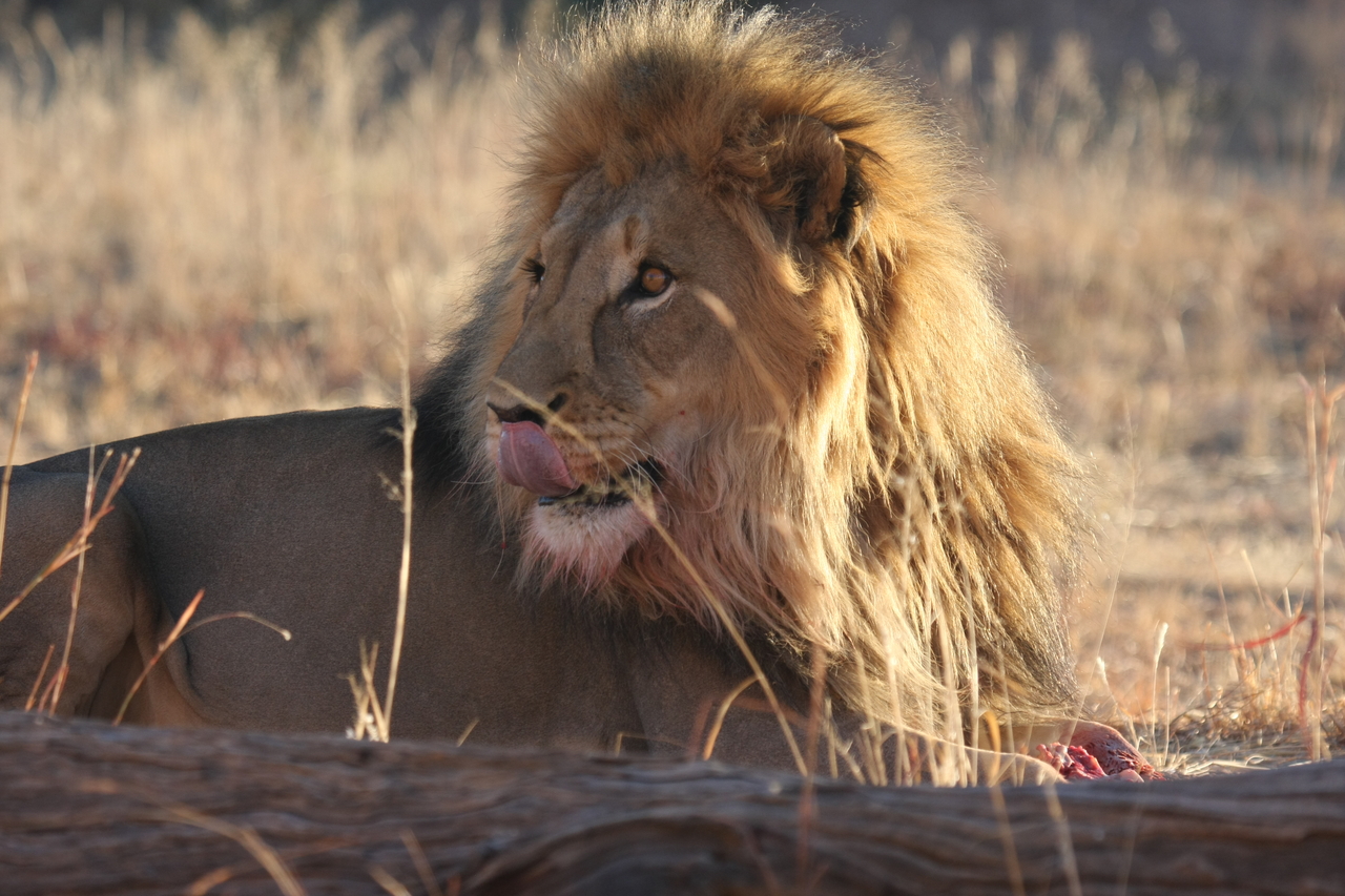 [7877] 2016_06_23_11_47_20_Africa_Canon_EOS_40D_IMG__09344.jpg