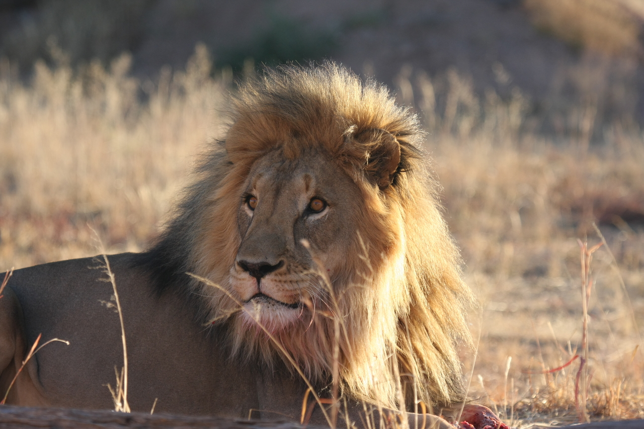 [7882] 2016_06_23_11_47_22_Africa_Canon_EOS_40D_IMG__01066.jpg