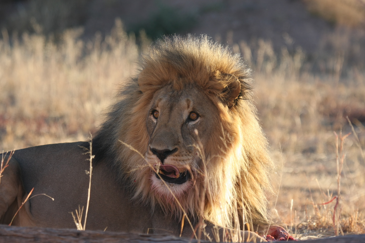 [7887] 2016_06_23_11_47_22_Africa_Canon_EOS_40D_IMG__01902.jpg