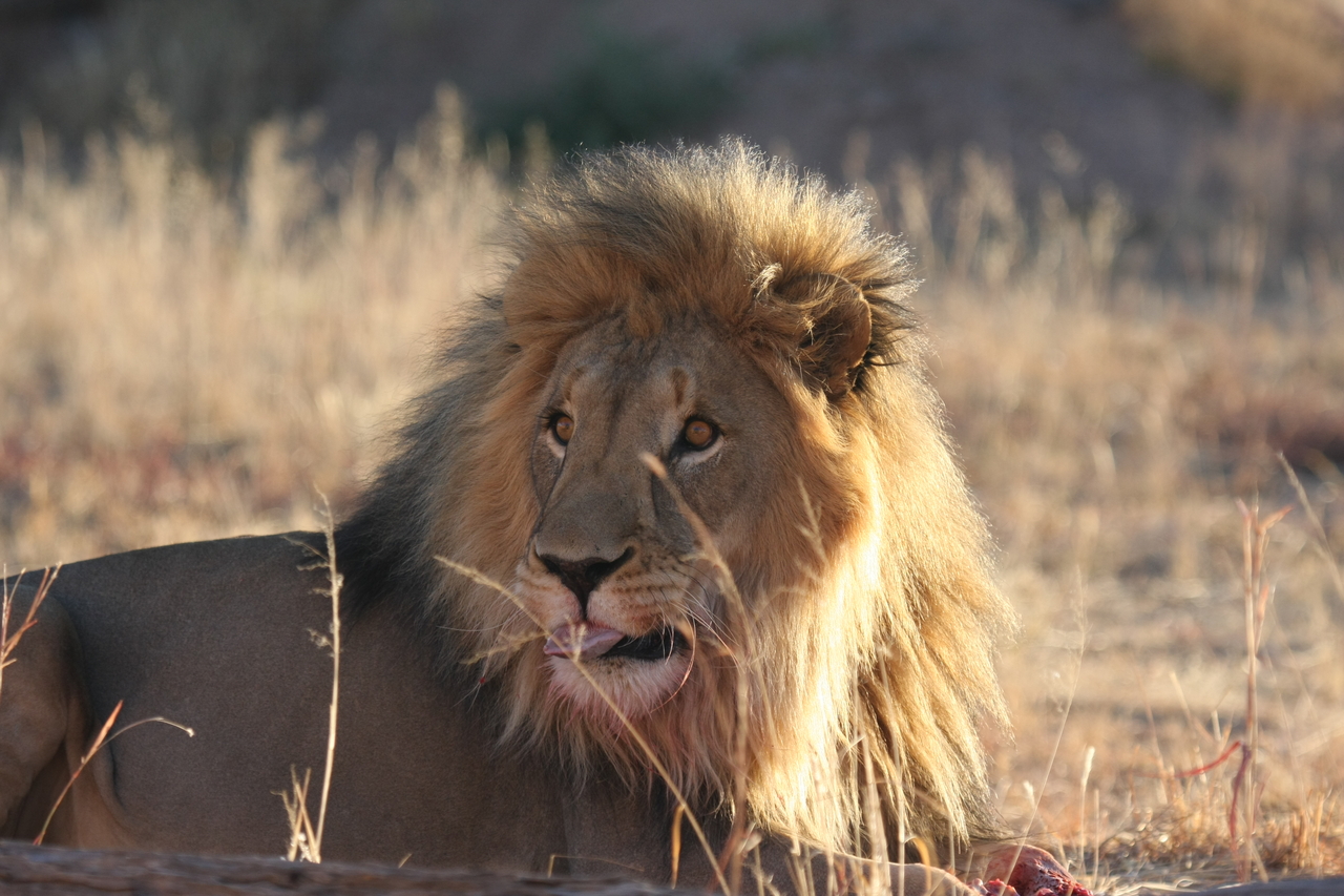 [7889] 2016_06_23_11_47_22_Africa_Canon_EOS_40D_IMG__09348.jpg