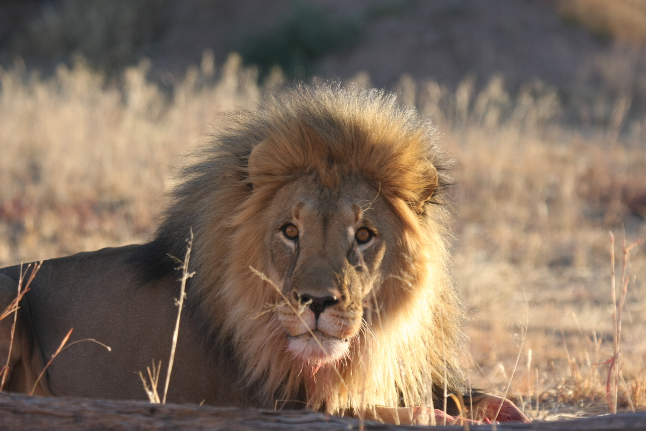 [7898] 2016_06_23_11_47_29_Africa_Canon_EOS_40D_IMG__01906.jpg