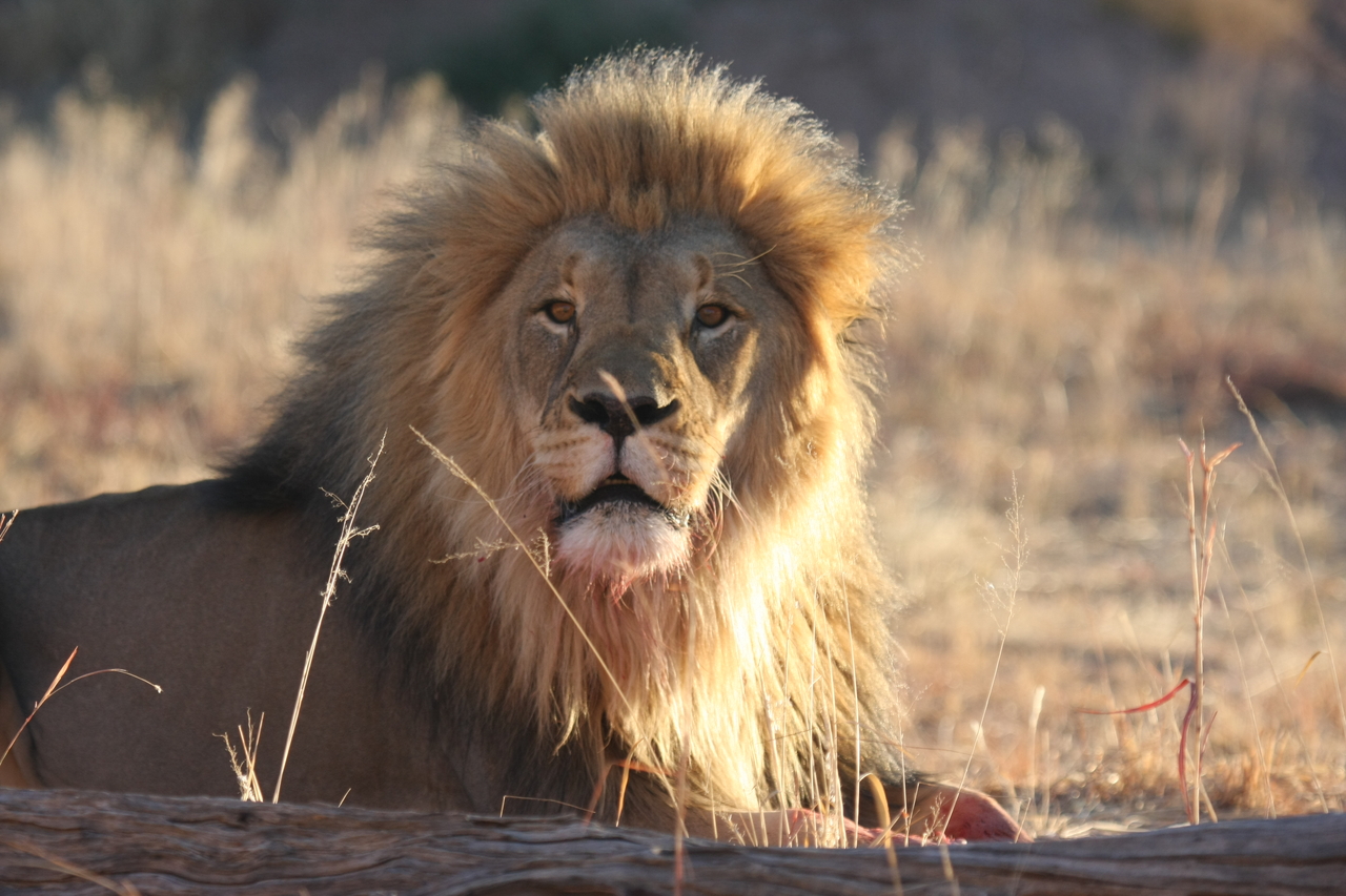 [7908] 2016_06_23_11_47_30_Africa_Canon_EOS_40D_IMG__01910.jpg