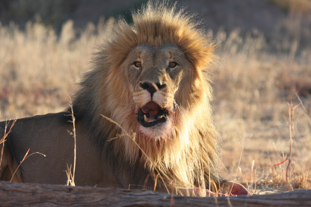 [7913] 2016_06_23_11_47_31_Africa_Canon_EOS_40D_IMG__01078.jpg