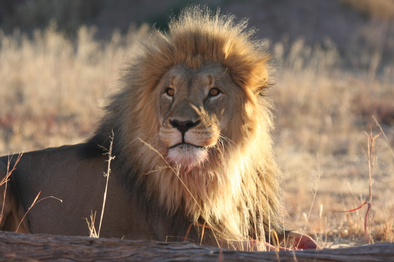 [7914] 2016_06_23_11_47_31_Africa_Canon_EOS_40D_IMG__01079.jpg