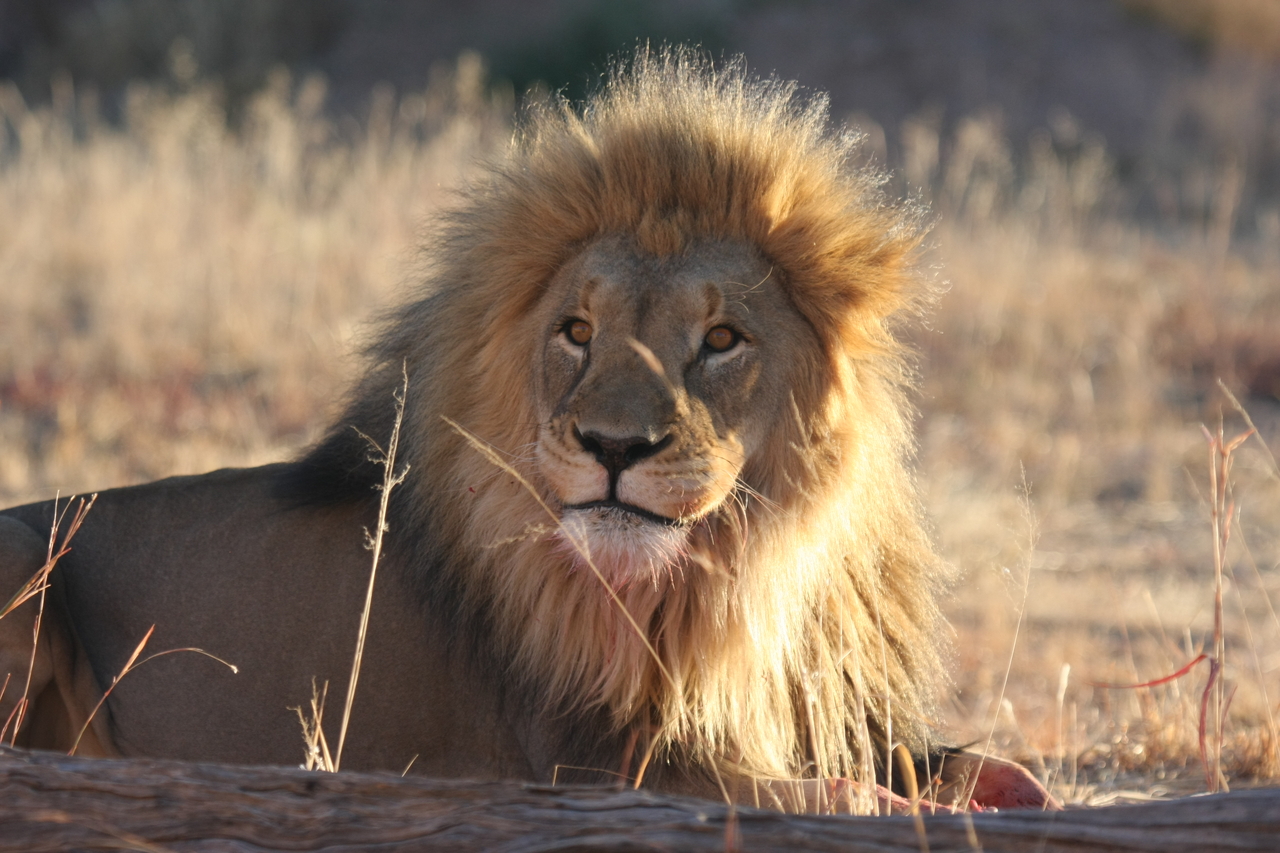 [7923] 2016_06_23_11_47_32_Africa_Canon_EOS_40D_IMG__01083.jpg