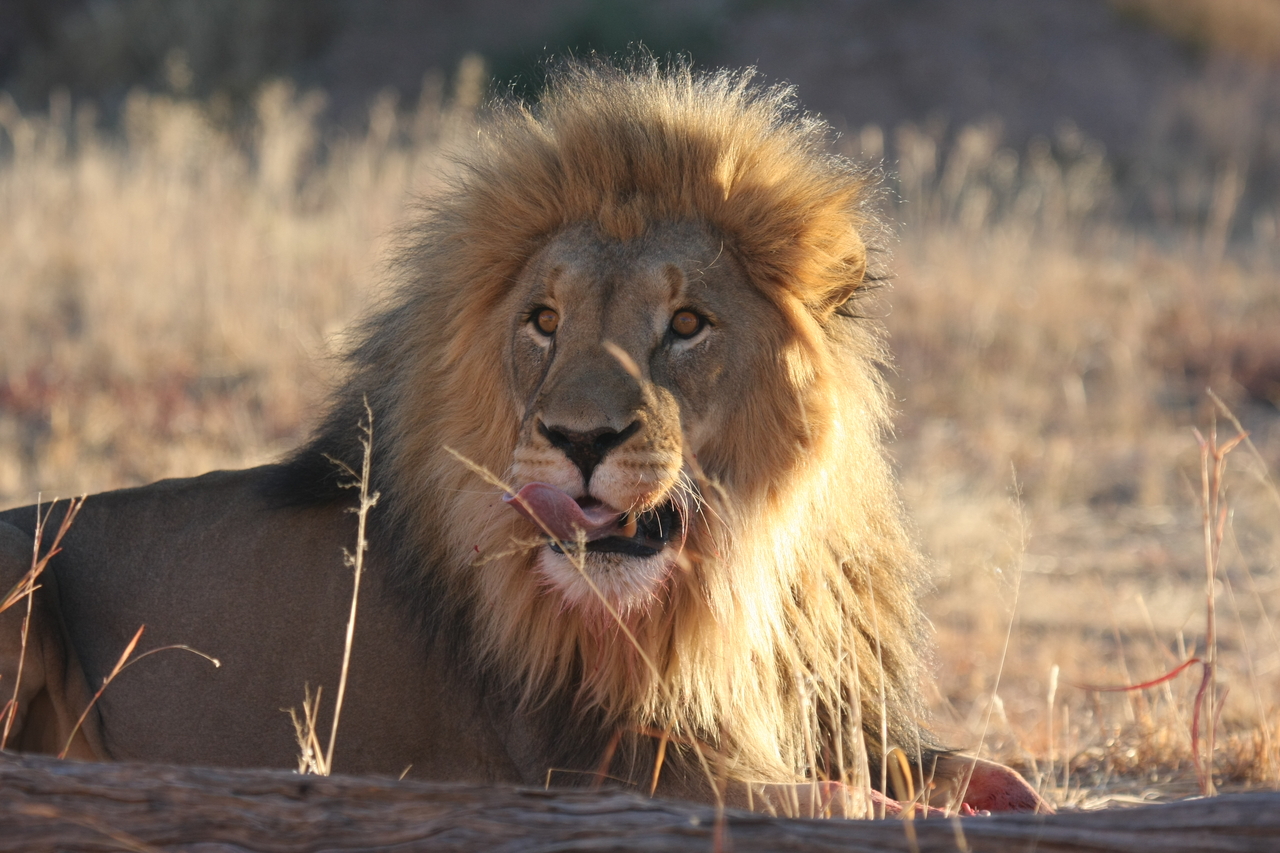 [7924] 2016_06_23_11_47_32_Africa_Canon_EOS_40D_IMG__01914.jpg