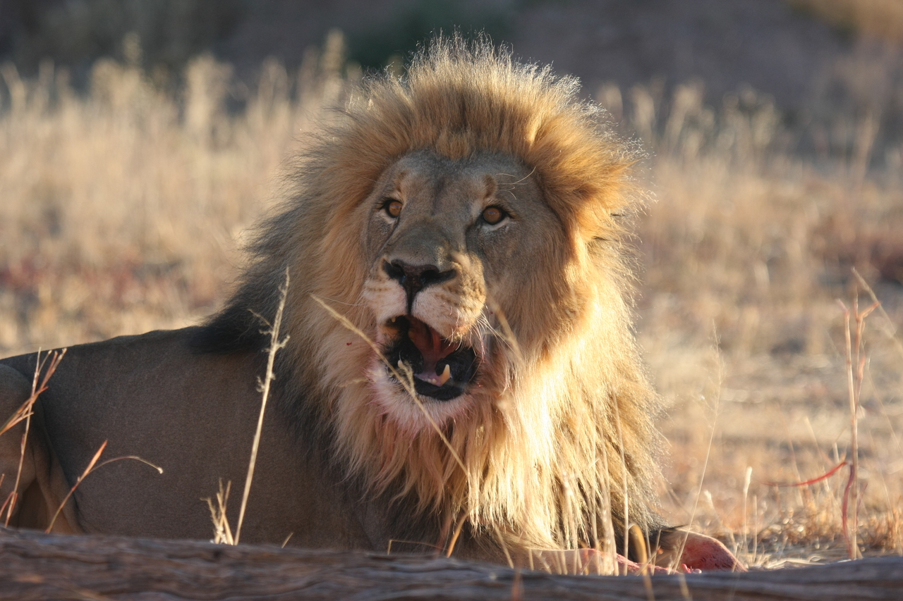 [7928] 2016_06_23_11_47_32_Africa_Canon_EOS_40D_IMG__09362.jpg