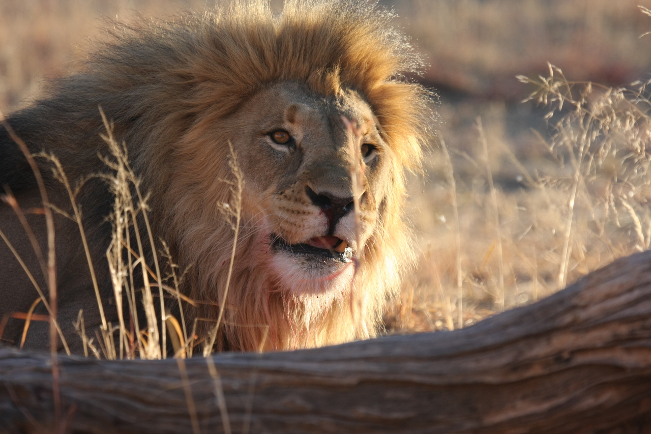 [7990] 2016_06_23_11_48_45_Africa_Canon_EOS_40D_IMG__00767.jpg