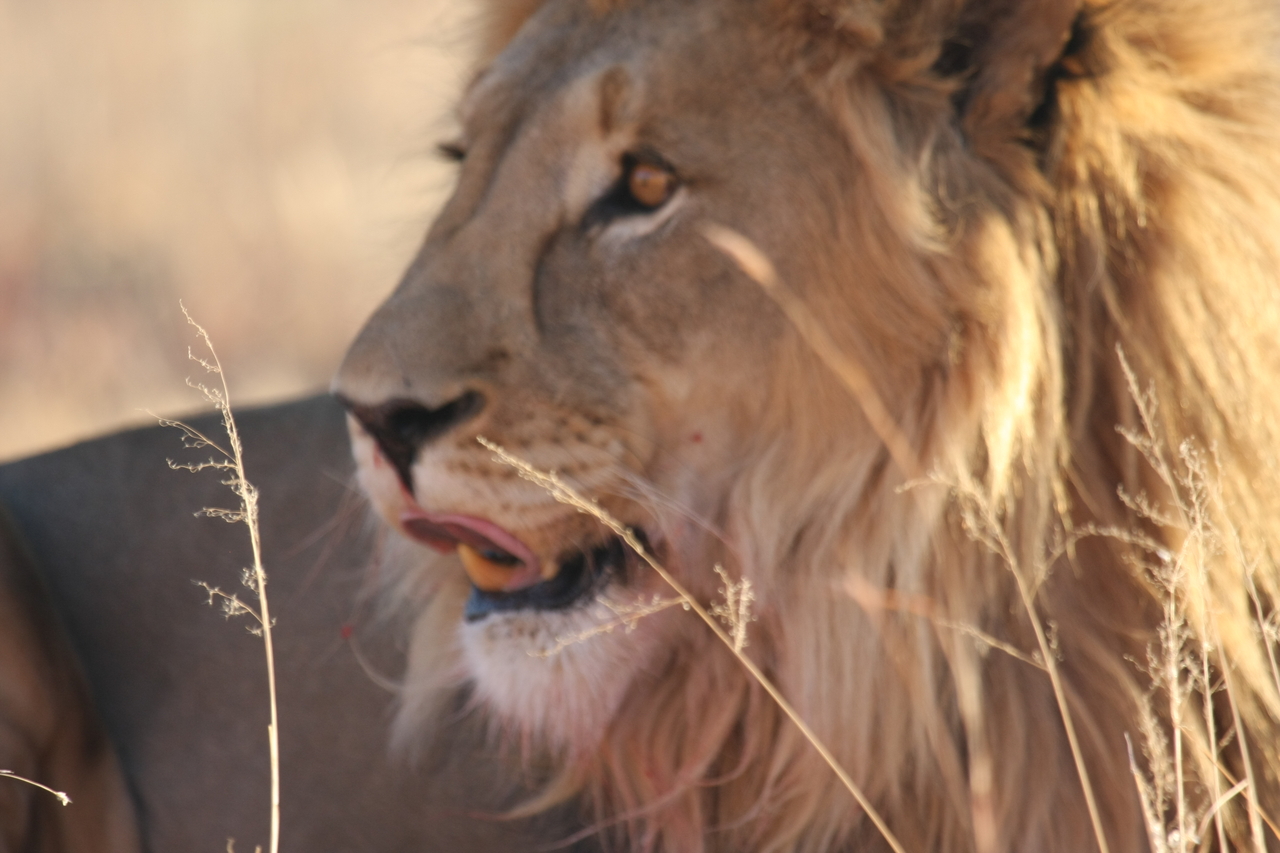 [8038] 2016_06_23_11_49_17_Africa_Canon_EOS_40D_IMG__01617.jpg