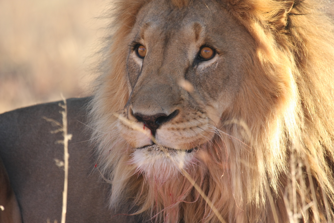 [8039] 2016_06_23_11_49_17_Africa_Canon_EOS_40D_IMG__01618.jpg