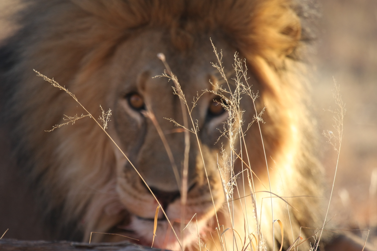 [8049] 2016_06_23_11_49_20_Africa_Canon_EOS_40D_IMG__00790.jpg