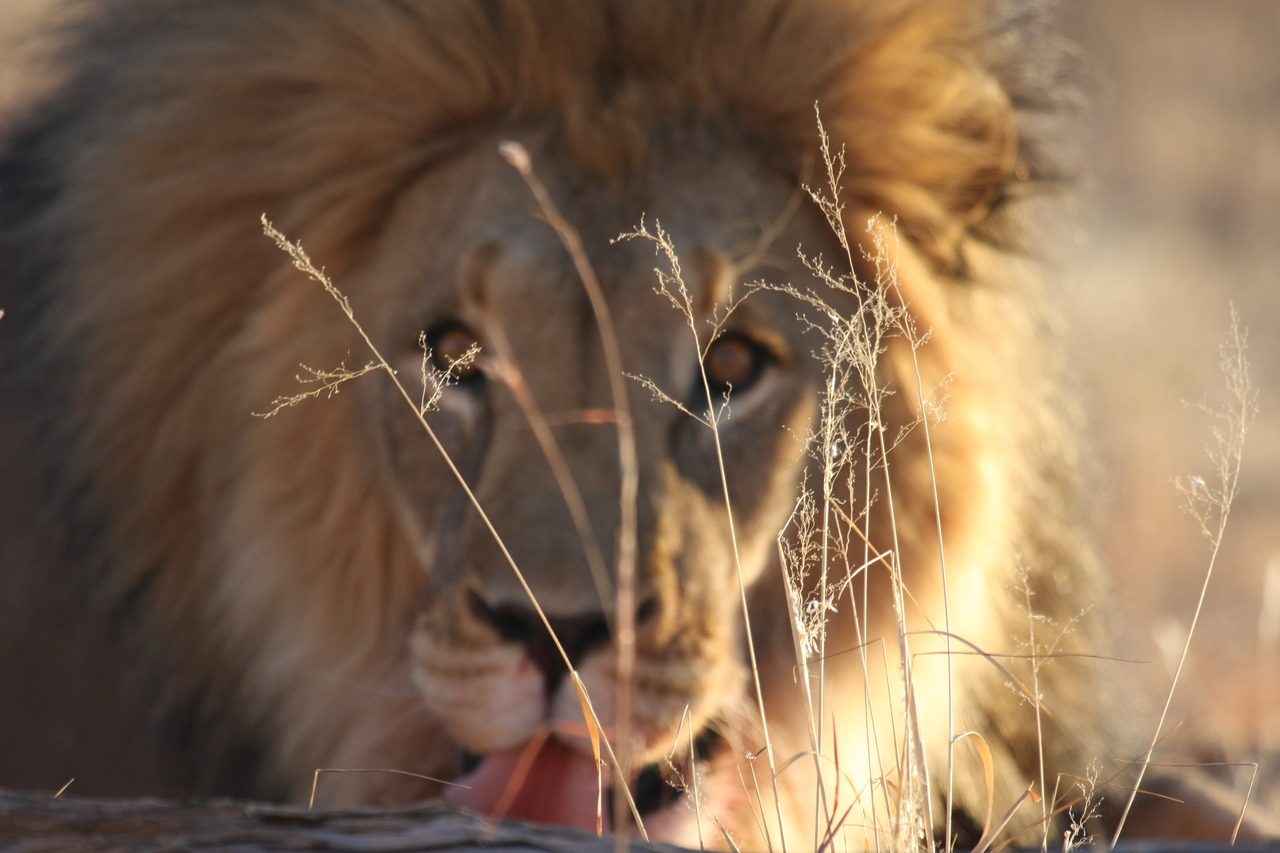 [8056] 2016_06_23_11_49_21_Africa_Canon_EOS_40D_IMG__00791.jpg