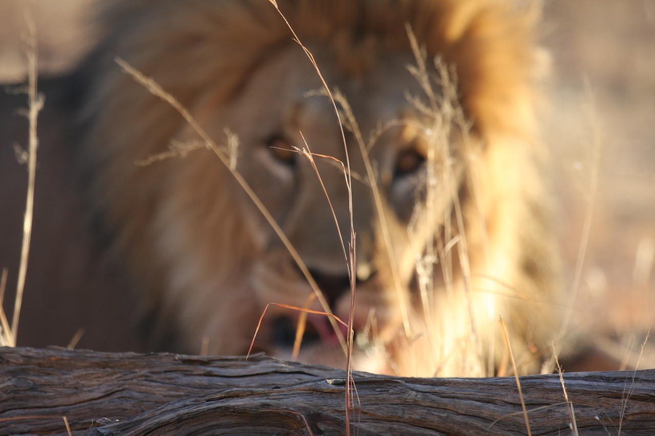 [8062] 2016_06_23_11_49_26_Africa_Canon_EOS_40D_IMG__01626.jpg